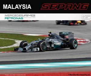 Puzzle Νίκο Ρόζμπεργκ - Mercedes - Grand Prix της Μαλαισίας 2014, 2η ταξινομούνται